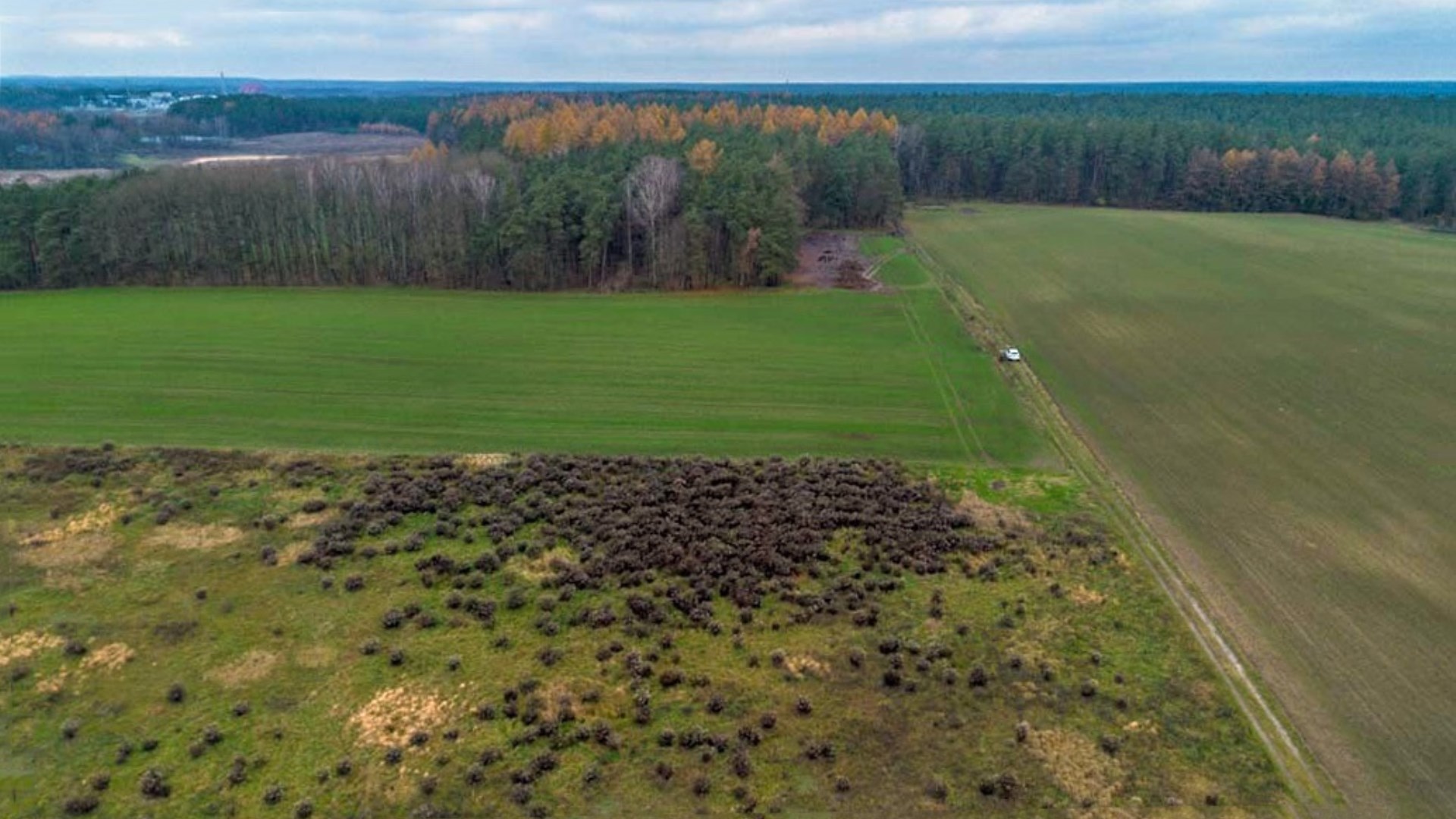 Działka na sprzedaż