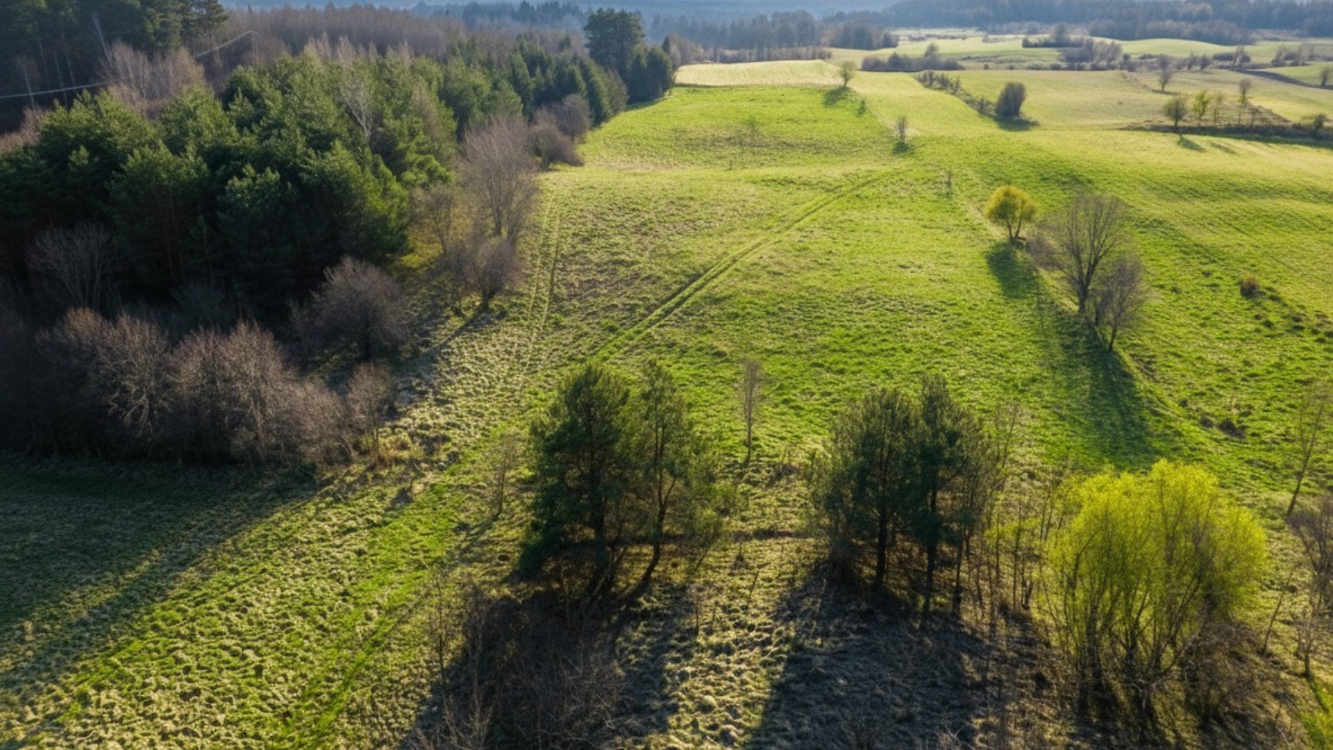 Działka na sprzedaż
